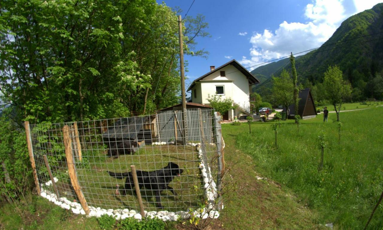 Apartma Bel Zaga Экстерьер фото